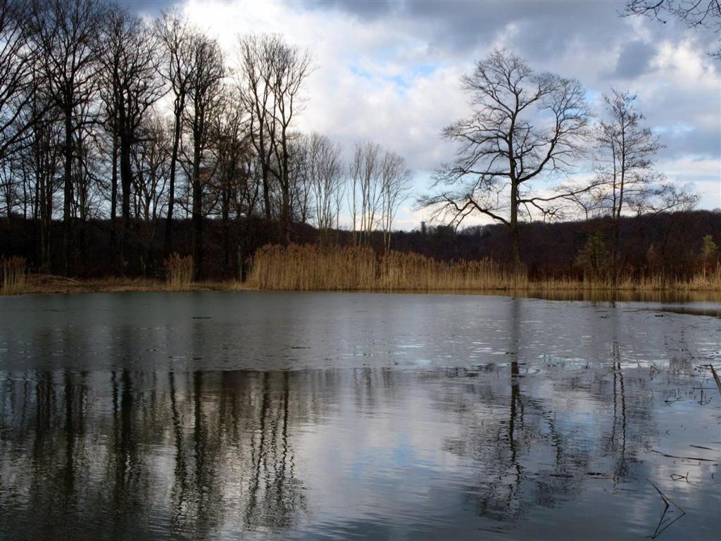 Landpension Wachtkopf Vaihingen an der Enz Exterior photo