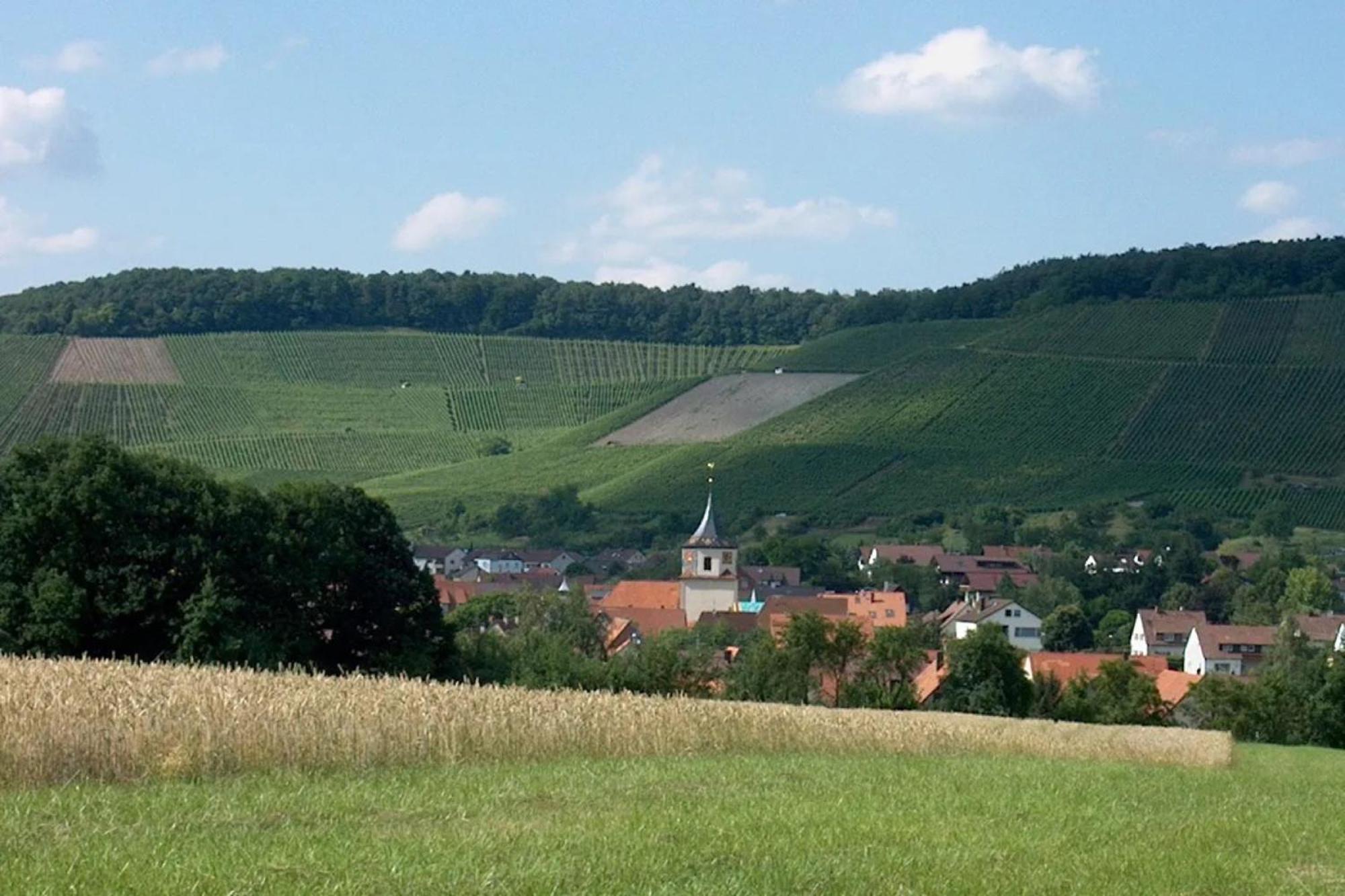 Landpension Wachtkopf Vaihingen an der Enz Exterior photo